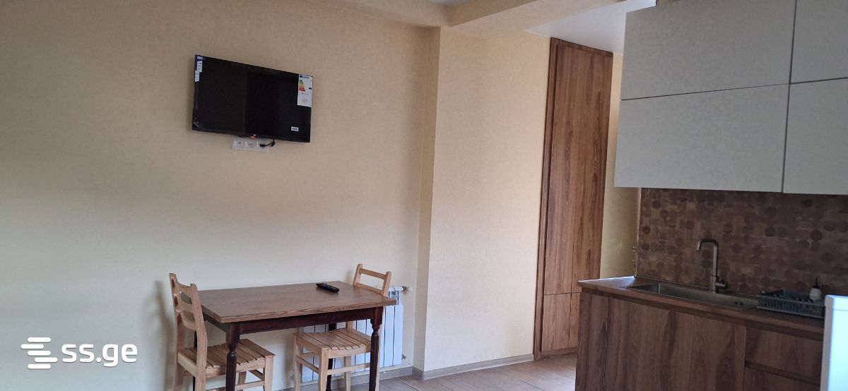 2 room Flat For Rent. Nadzaladevi - Widok 6