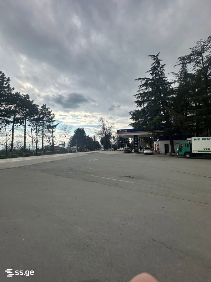 Commercial Real Estate For Sale. Lagodekhi view 1