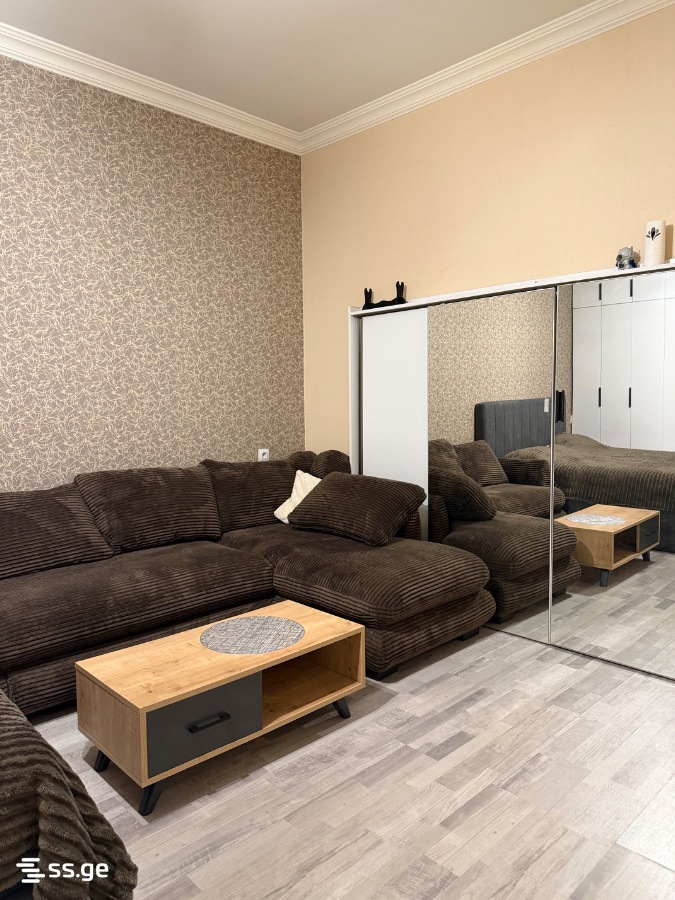 1 Room Flat For Rent. Mtatsminda, 7 of 12