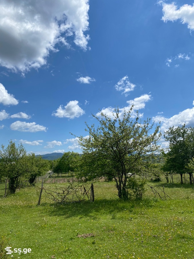 Land For Sale. Tianeti view 1