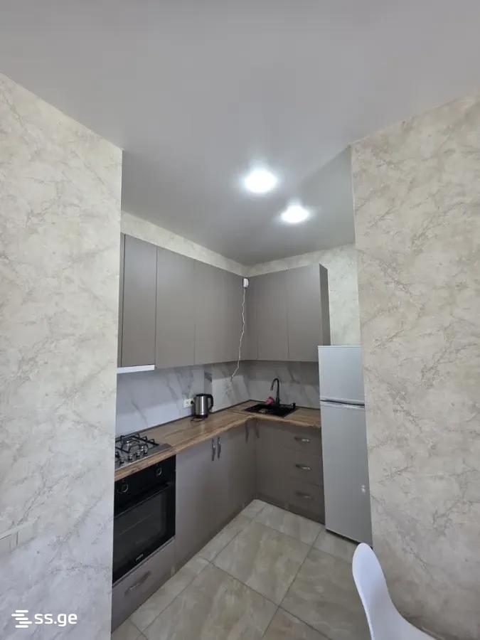 2 room Flat For Rent. Didi digomi - Widok 3
