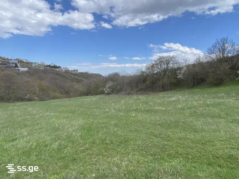 Land For Sale. Mukhattskaro view 3