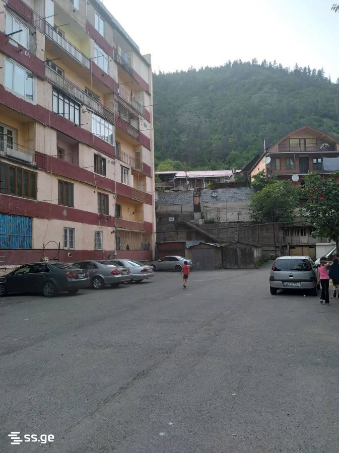 2 Room Flat Daily Rent. Borjomi view 3