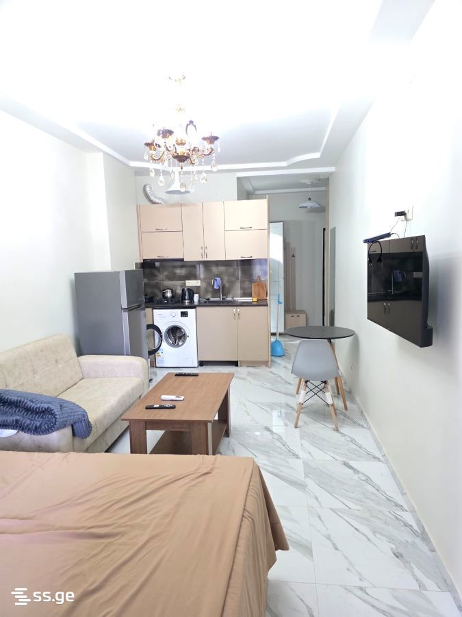 1 Room Apartment For Rent Aeroportis Ubani, In Batumi view 9