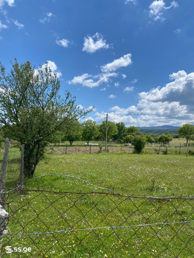 Land For Sale. Tianeti view 3