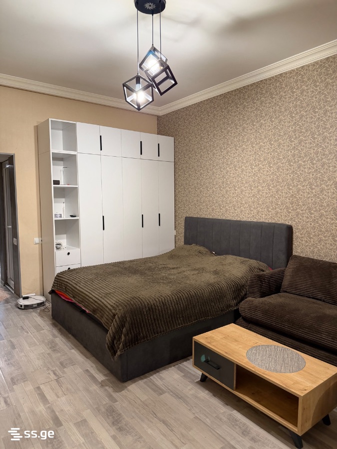 1 Room Flat For Rent. Mtatsminda, 5 of 12