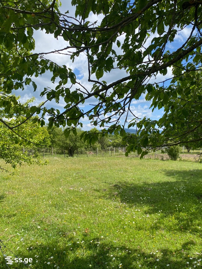 Land For Sale. Tianeti view 2