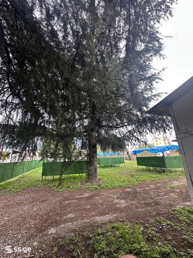 Commercial Real Estate For Sale. Lagodekhi view 8