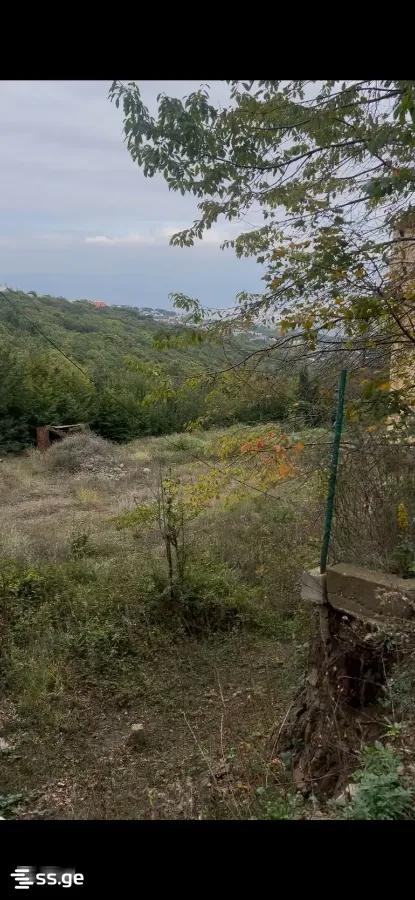 Land For Sale. Mukhattskaro view 2