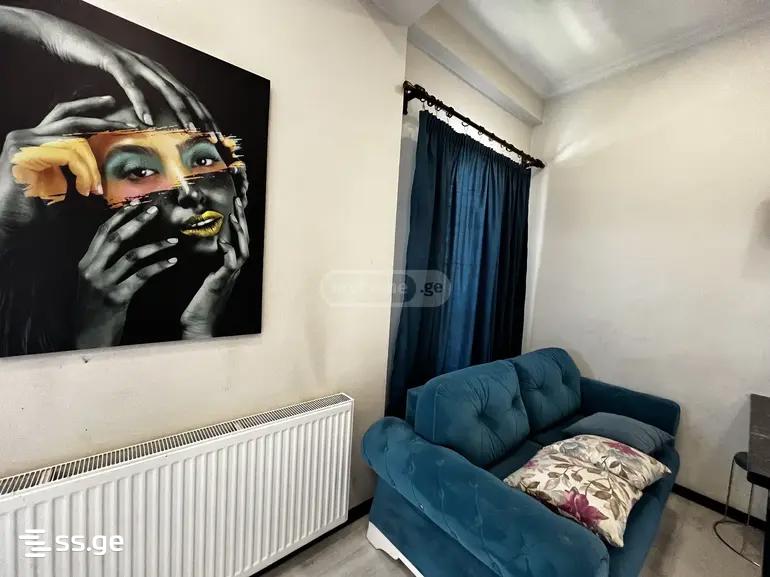 1 room Flat Daily rent. Isani - Ansicht 2