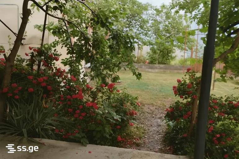 4 Room Private House Daily Rent. Samgori view 14