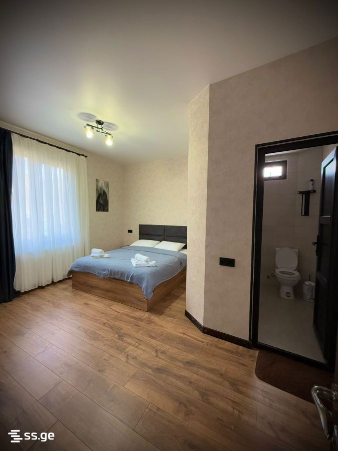 3 Room Summer Cottage Daily Rent. Borjomi view 7