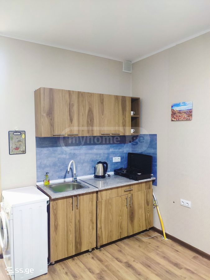 Daily Rent 2 Room Apartment Samgorshi view 7
