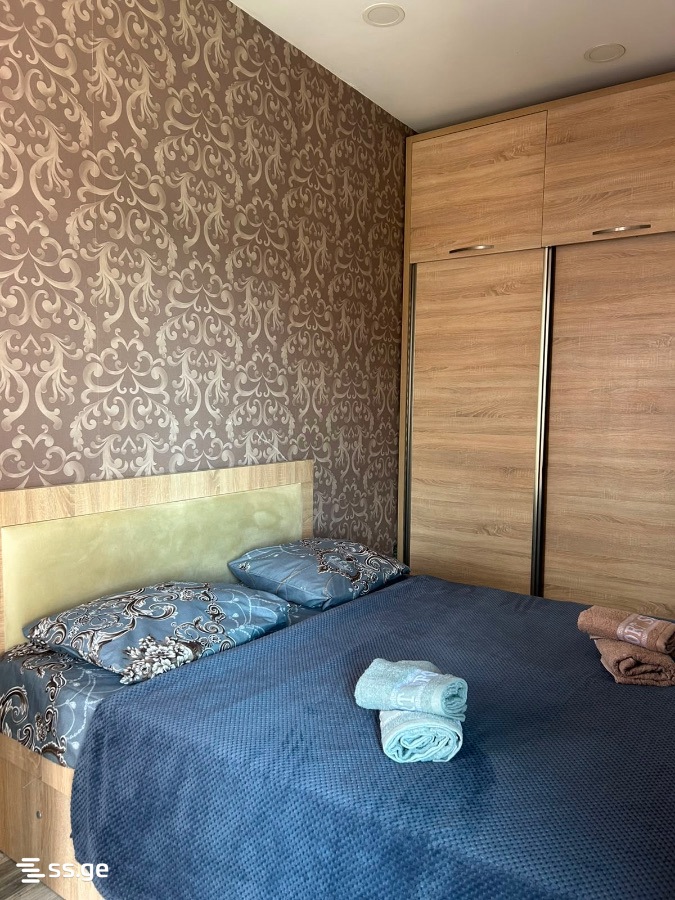 2 Room Flat Daily Rent. Rustavi, 10 of 11