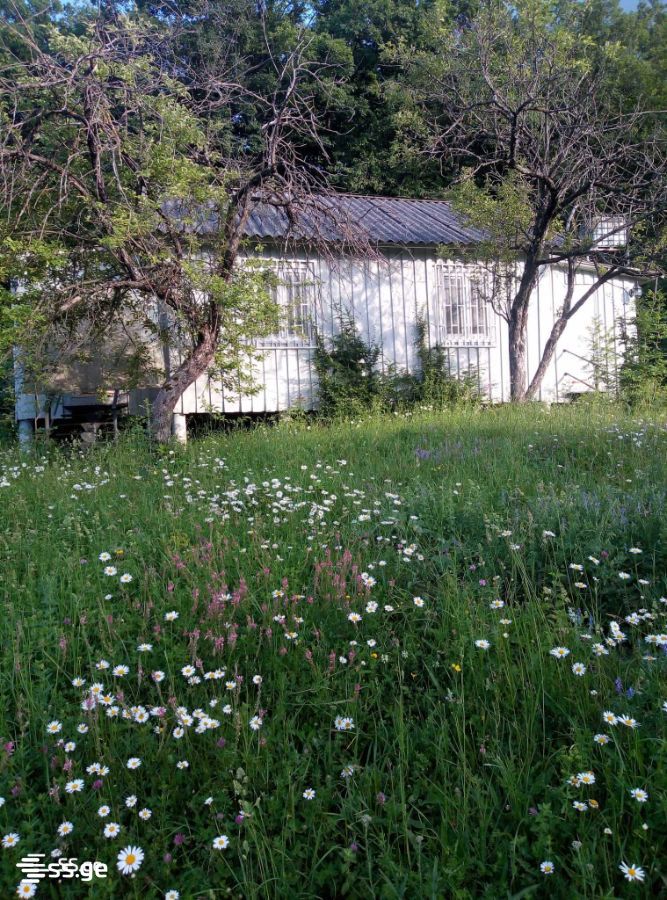 იყიდება 2-ოთახი Summer Cottage view 4