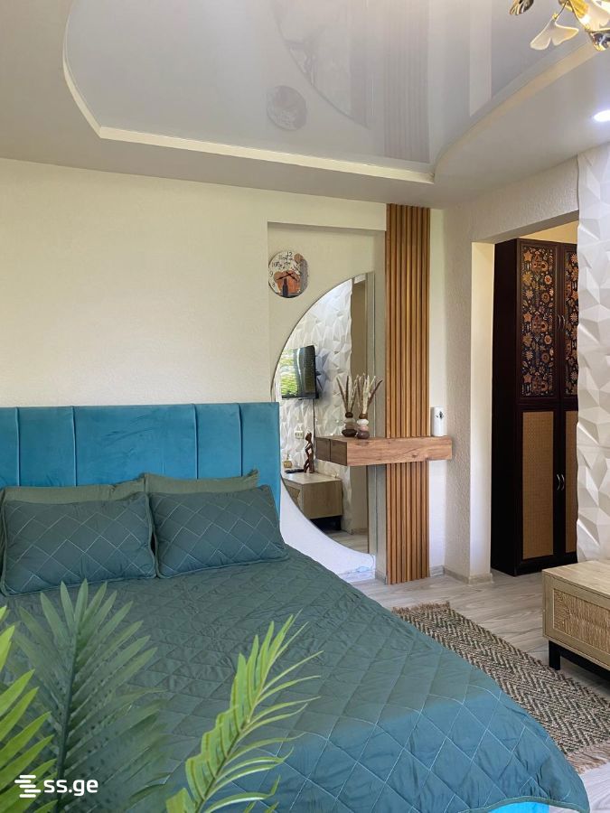 1 Room Flat Daily Rent. Poti view 3