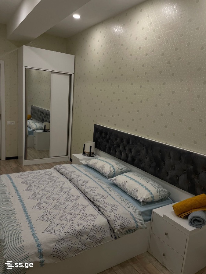 2 room Flat Daily rent. Didi digomi - Widok 5