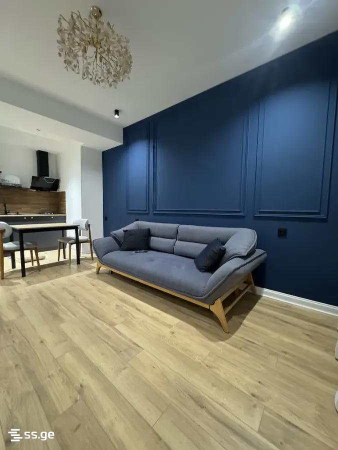 2 room Flat Daily rent. Isani - Widok 2
