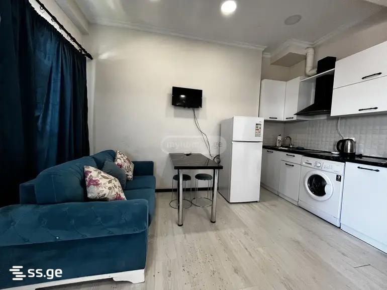1 room Flat Daily rent. Isani - Ansicht 3