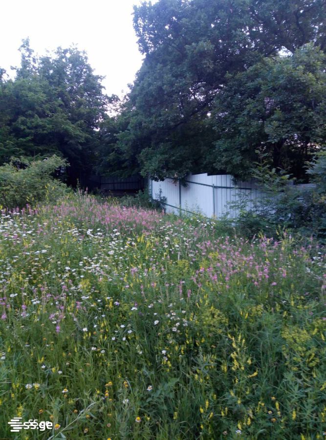 იყიდება 2-ოთახი Summer Cottage view 6