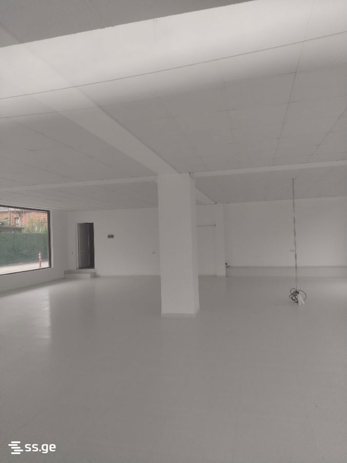 Commercial Space For Rent. Kutaisi view 2