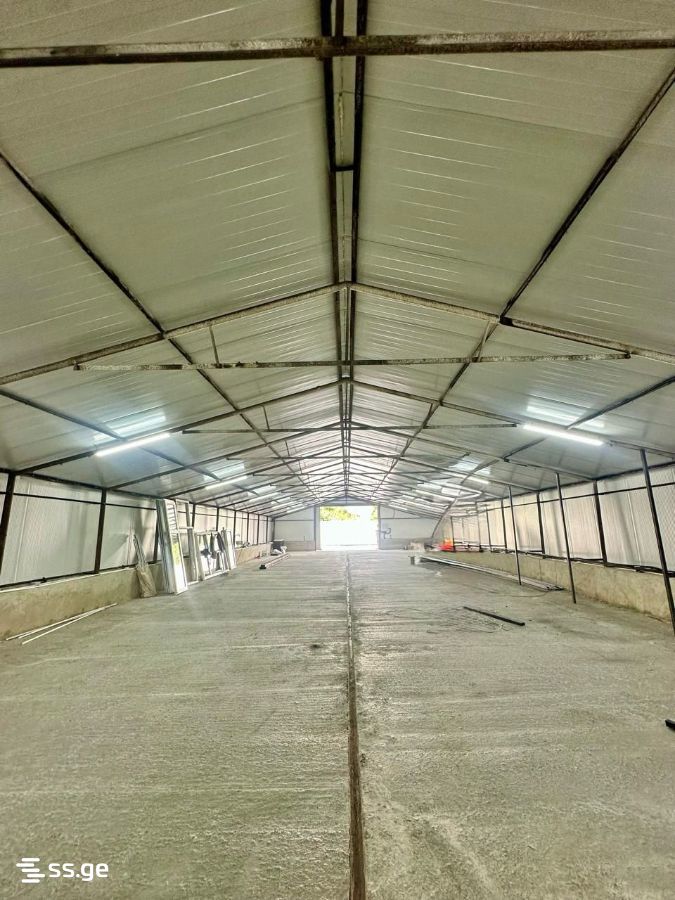Store-Industrial property For Rent. Didi digomi