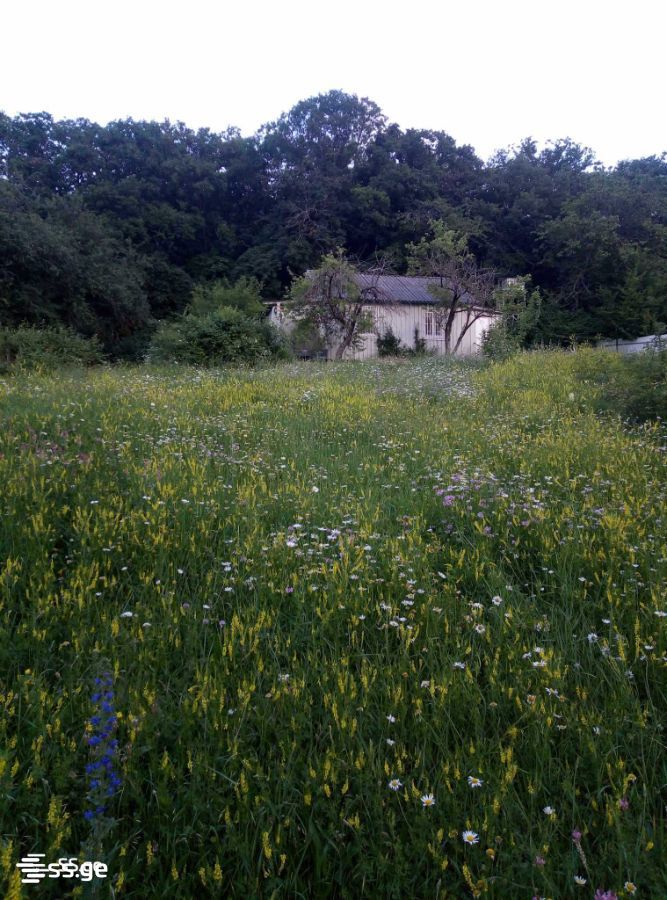 იყიდება 2-ოთახი Summer Cottage view 2