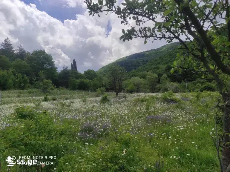 Land For Sale. Gori view 2