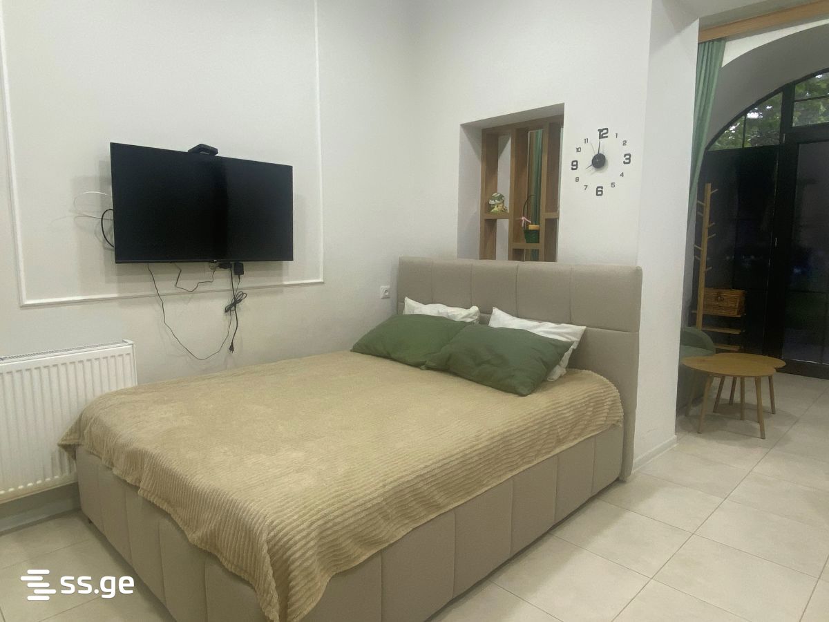 1 Room Flat Daily Rent. Tskaltubo view 7