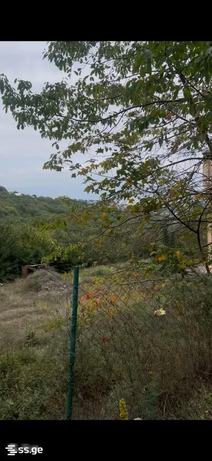 Land For Sale. Mukhattskaro view 3