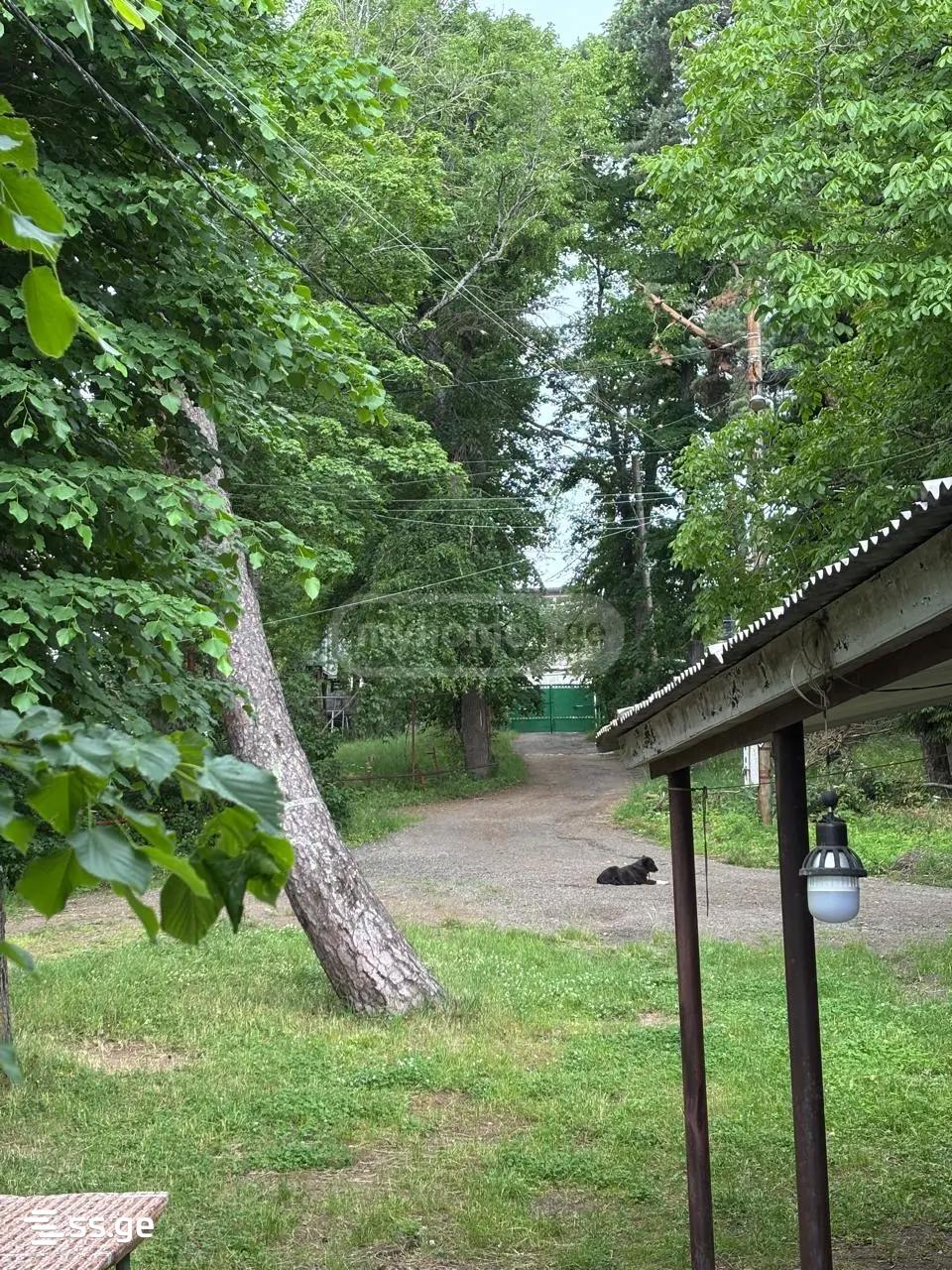 6 Room Summer Cottage Daily Rent. Kojori view 15