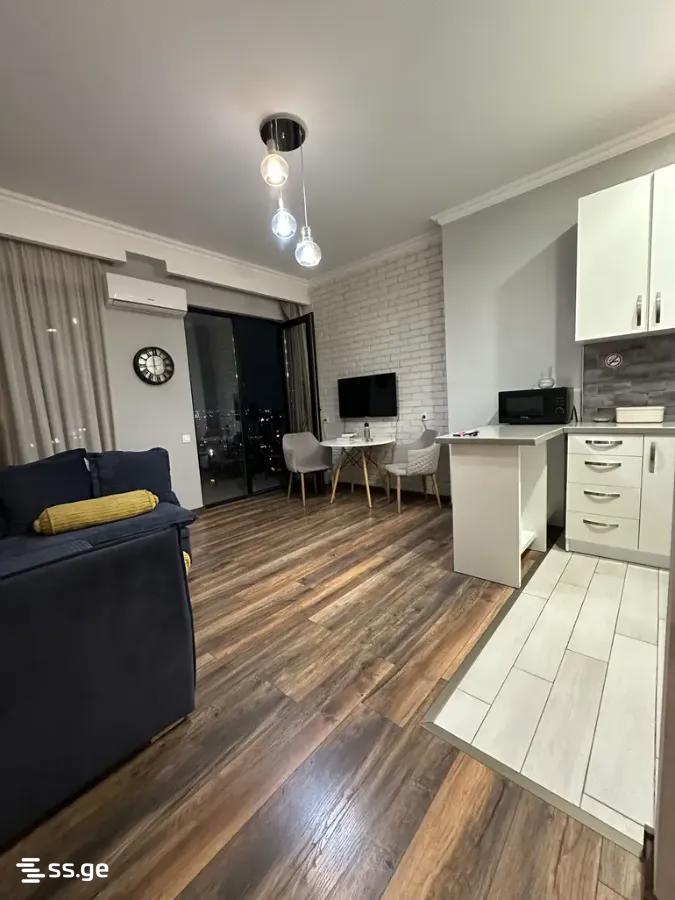 2 room Flat Daily rent. Isani - Ansicht 3
