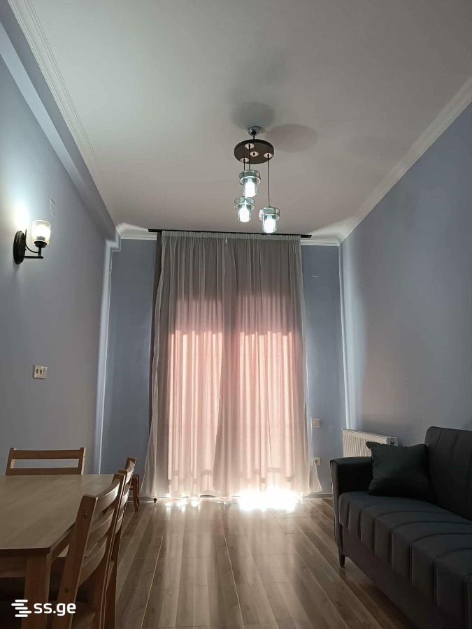 1 Room Flat For Rent. Telavi, 2 of 4