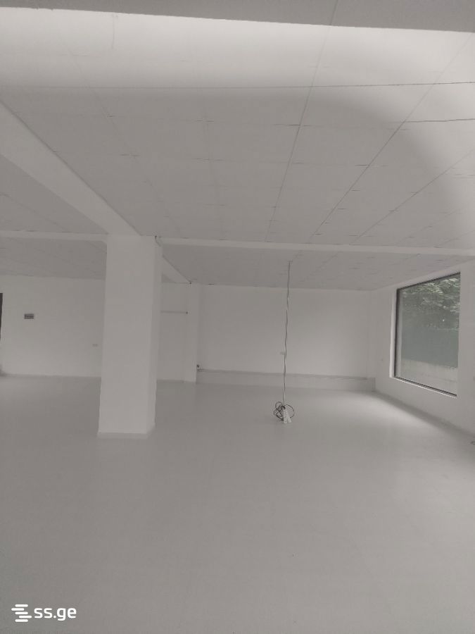 Commercial Space For Rent. Kutaisi view 3