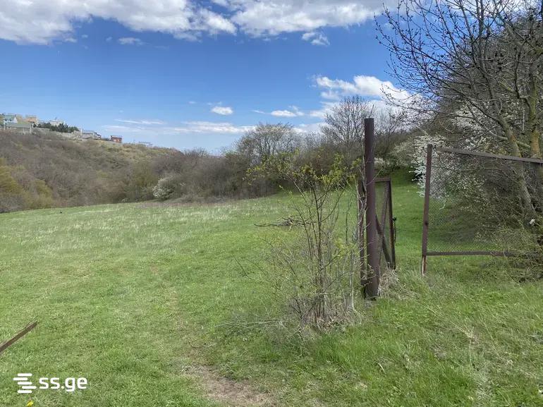 Land For Sale. Mukhattskaro view 1