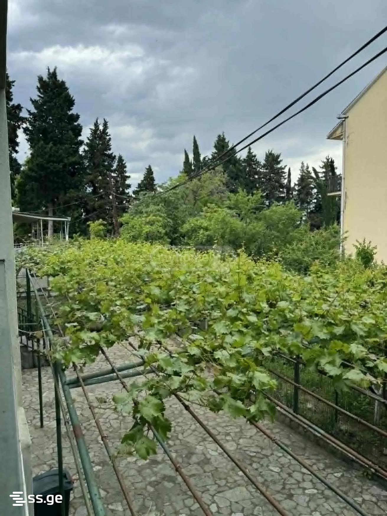 5 Room Summer Cottage For Rent. Okrokana view 5