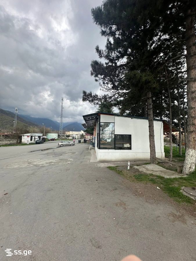 Commercial Real Estate For Sale. Lagodekhi view 11