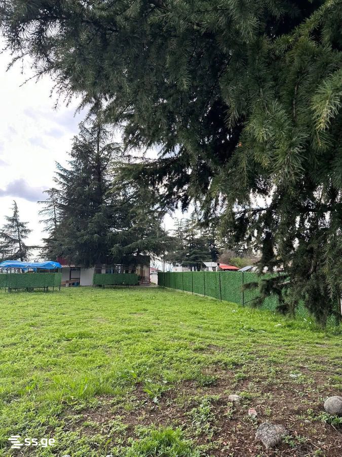 Commercial Real Estate For Sale. Lagodekhi view 7