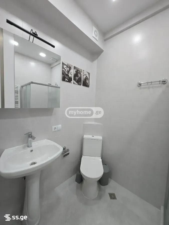 2 room Flat For Rent. Nadzaladevi - Widok 5