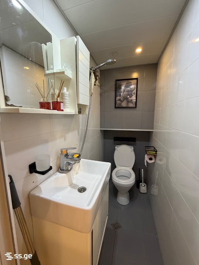 1 Room Flat For Rent. Mtatsminda, 10 of 12