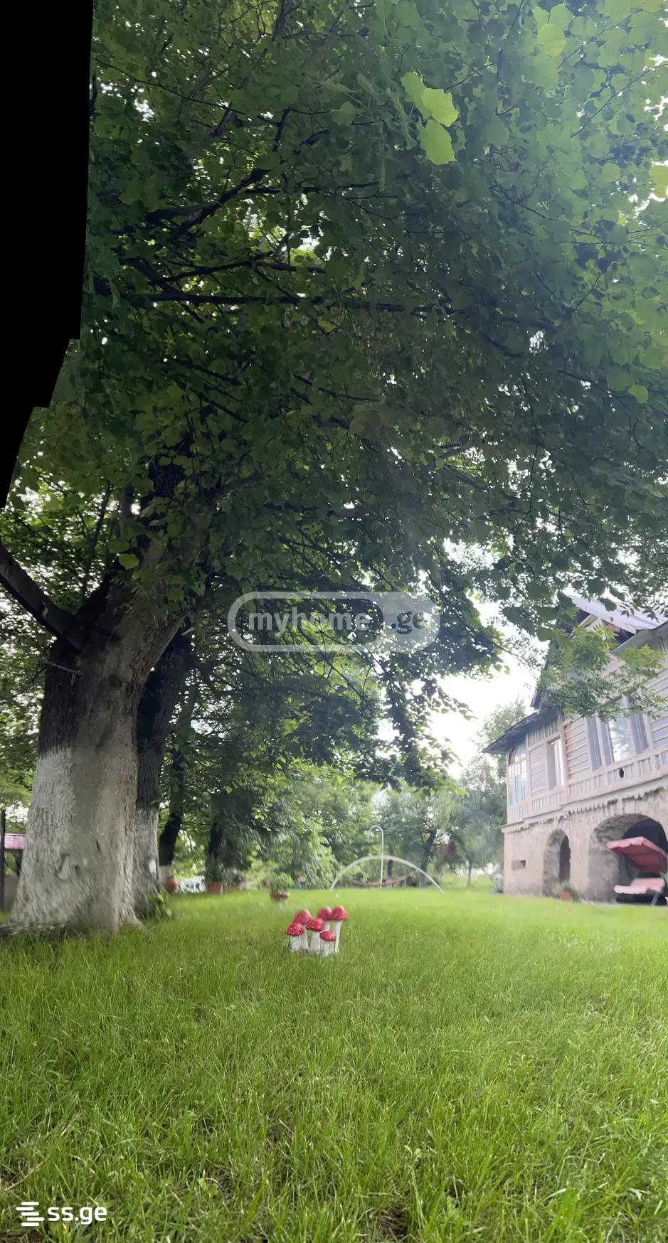 3 Room Summer Cottage For Rent. Kojori view 12