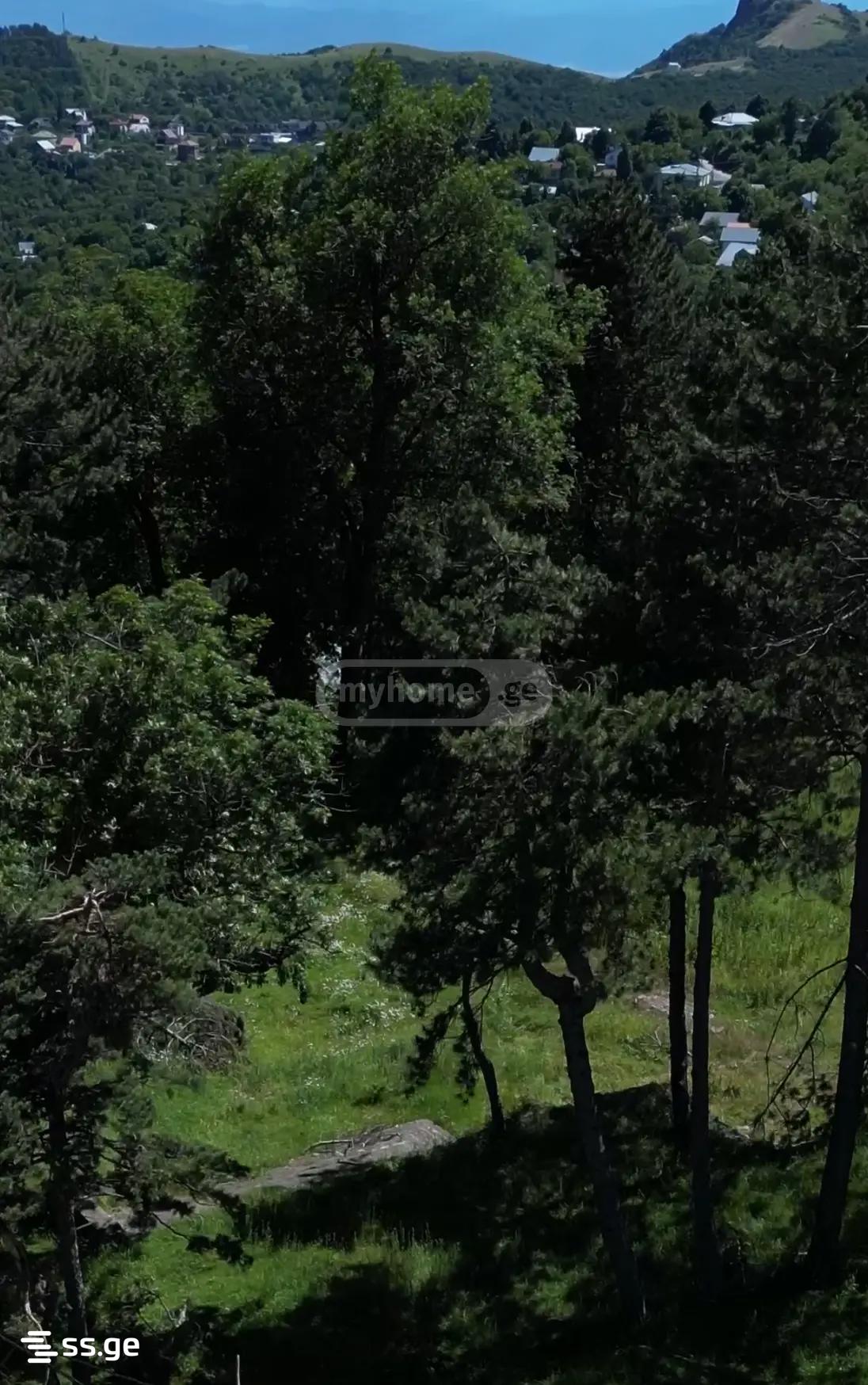 Land For Sale. Isani view 5