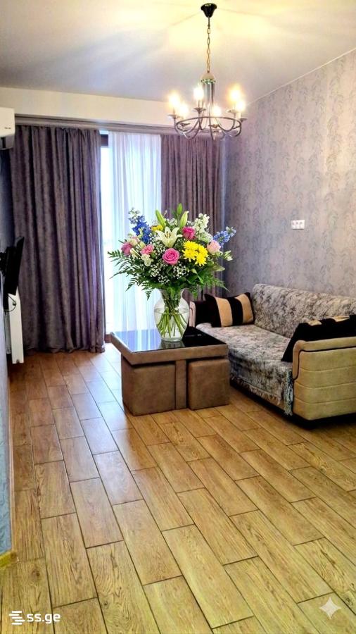 2 Room Flat Daily Rent. Didi Digomi view 1