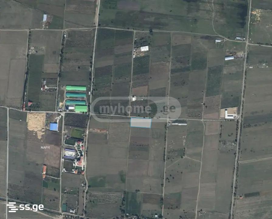 Продажа Земля в церовани view 2