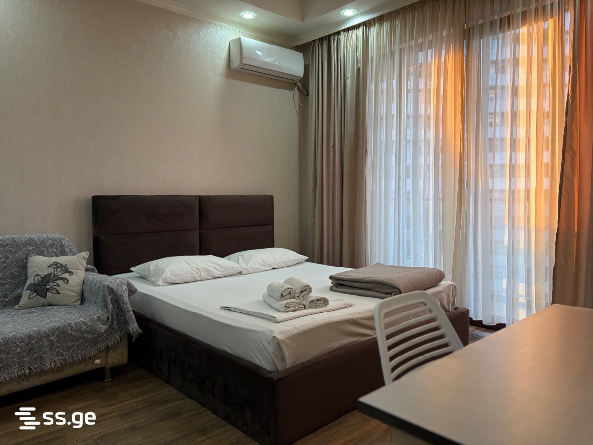 1 Room Apartment Daily Rent In Batumi view 14