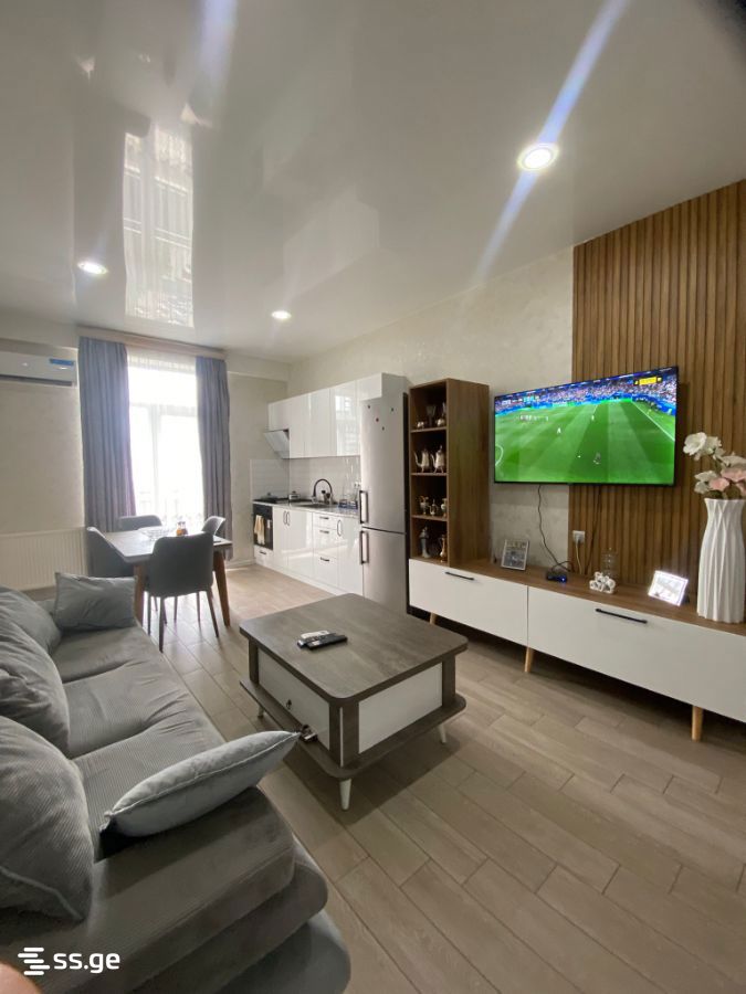 2 room Flat For Sale. Gldani – pohled 3
