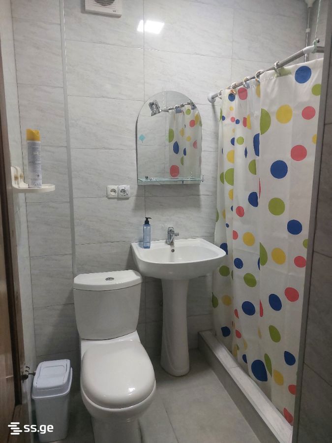 3 Room Flat For Rent. Telavi view 8