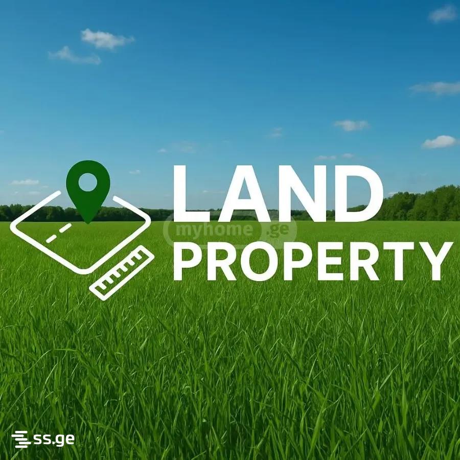 Land For Sale. Dusheti view 1