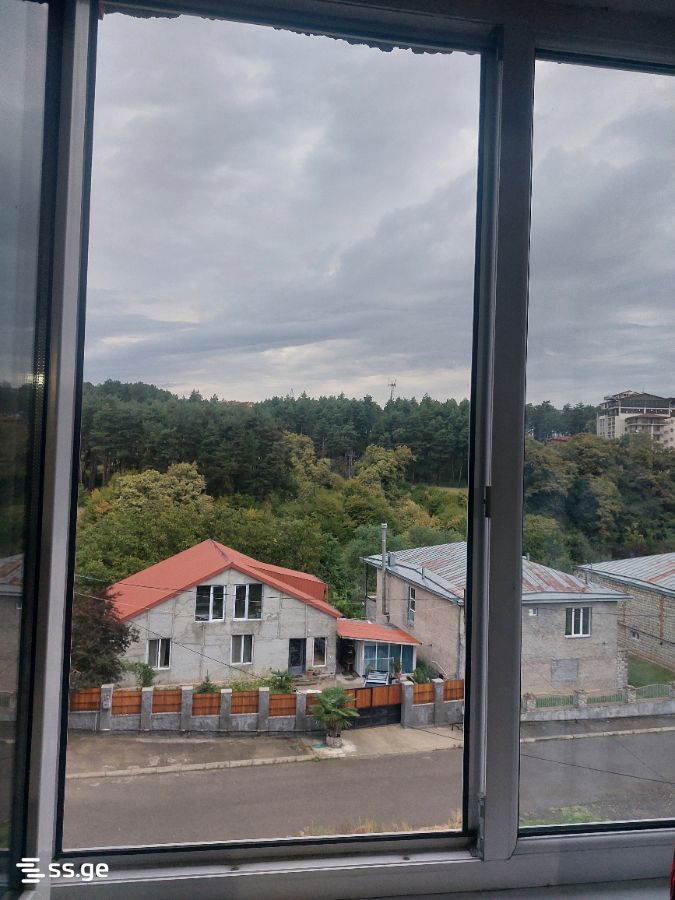 3 Room Flat For Rent. Telavi view 7