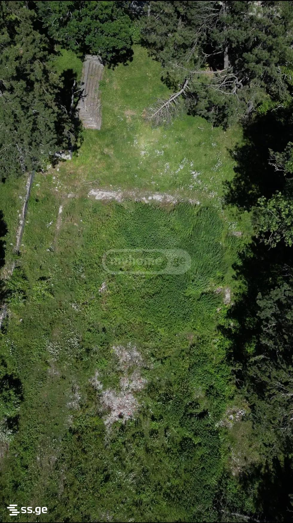 Land For Sale. Isani view 7